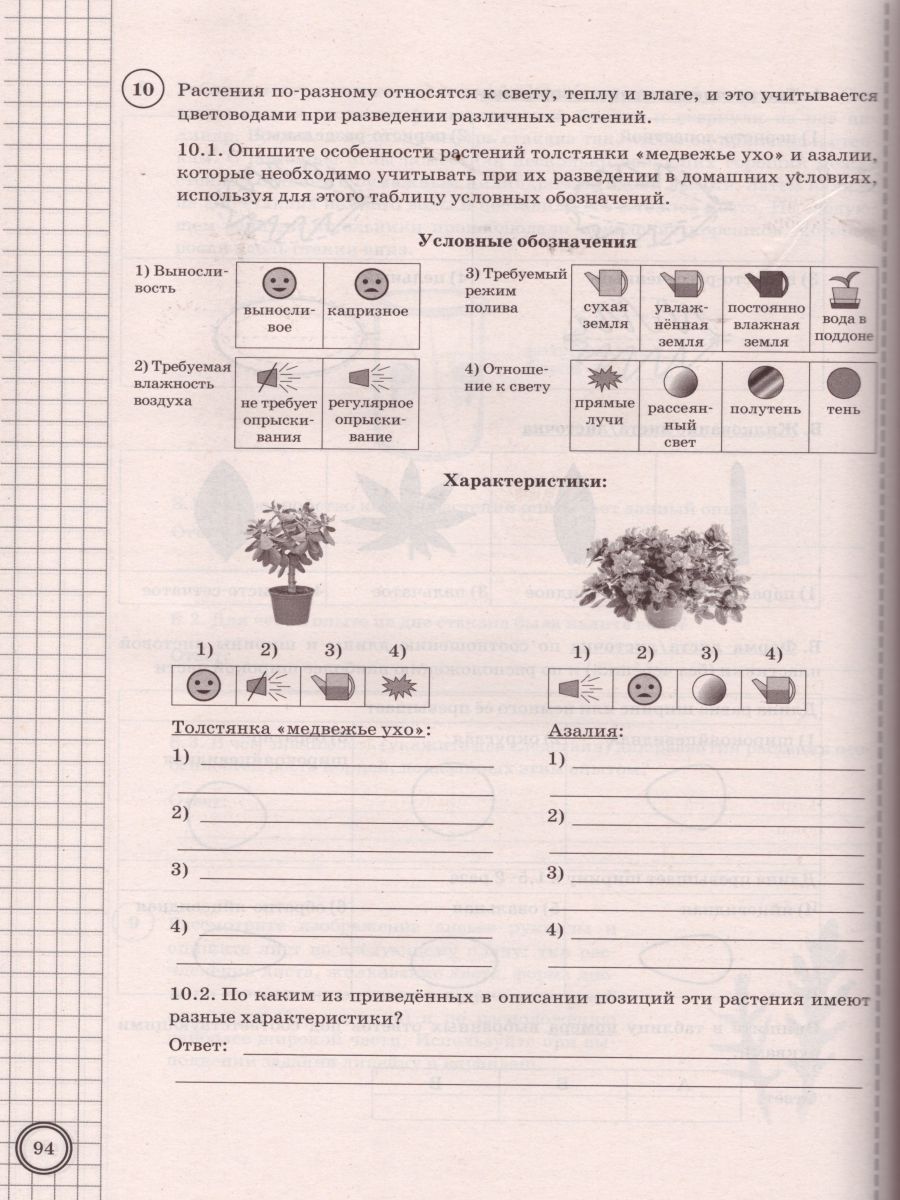 Разбор впр 6 класс биология