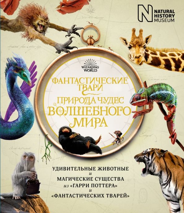 Обложка Фантастические твари. Природа чудес волшебного мира / Гарри Поттер (7б) (Махаон), издательство Махаон | купить в книжном магазине Рослит