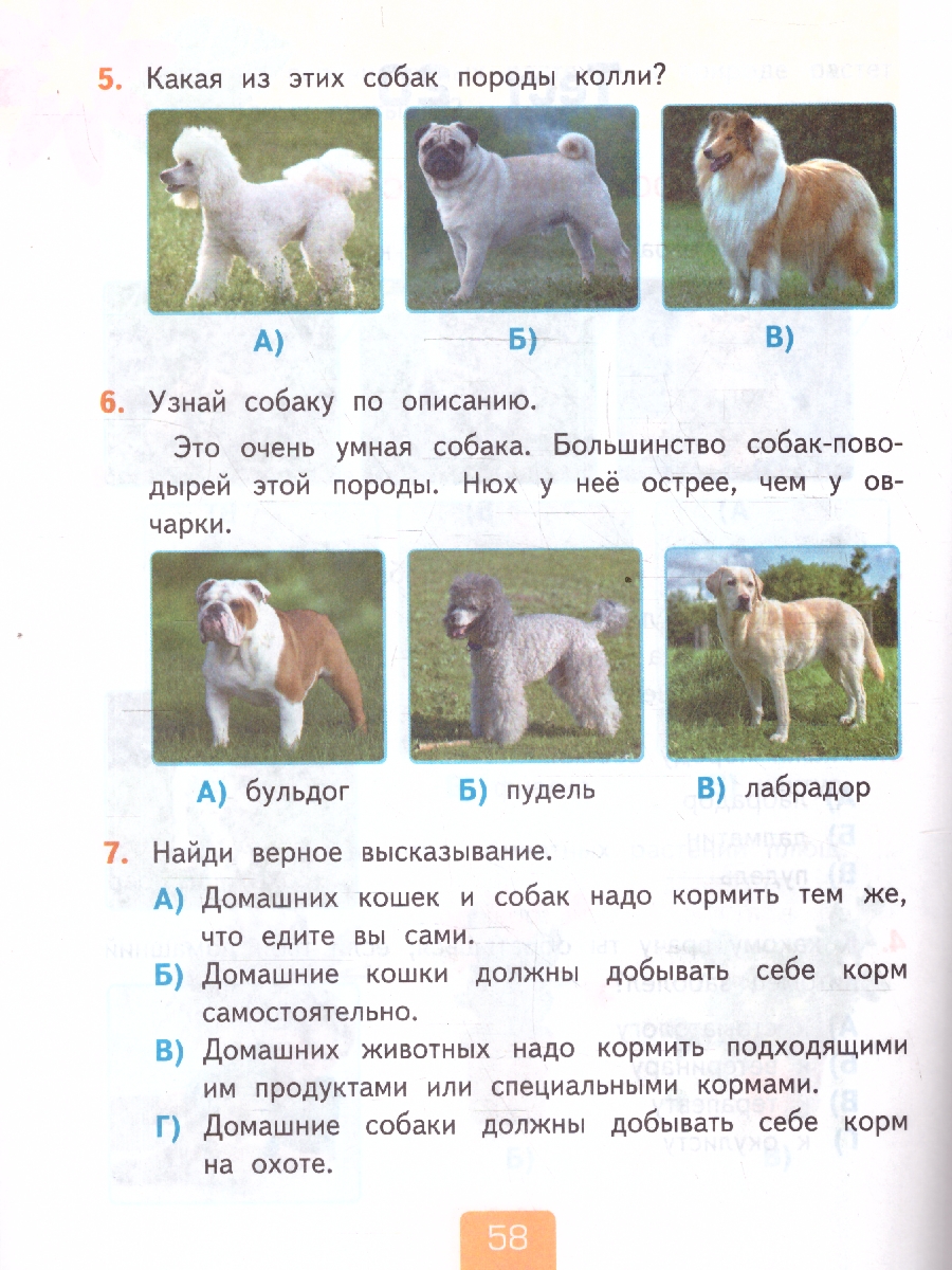 Обложка книги Окружающий мир 2 класс. Тесты. Часть 1. К новому учебнику. УМК Плешакова. ФГОС НОВЫЙ, Автор Тихомирова Е.М., издательство Экзамен | купить в книжном магазине Рослит