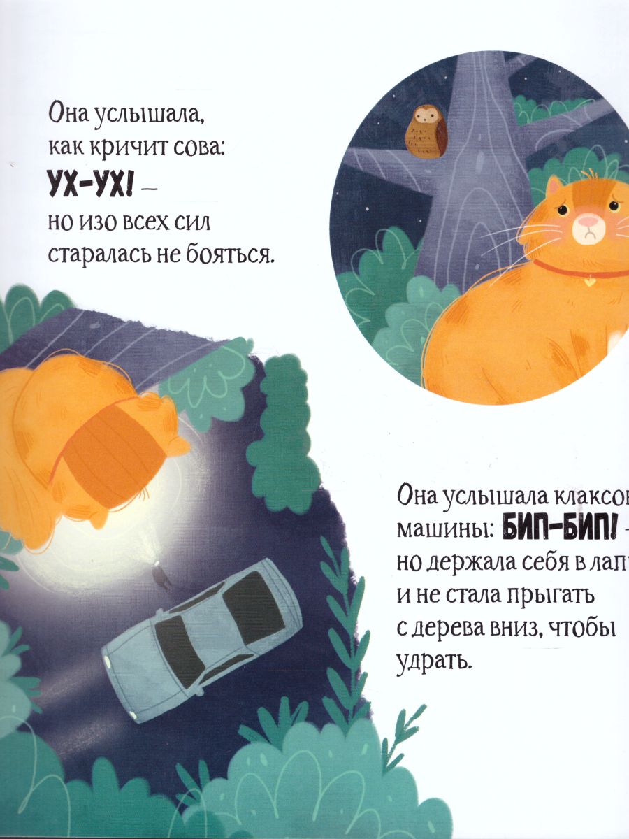 Обложка Котёнок в большом городе, издательство АСТ-Пресс | купить в книжном магазине Рослит
