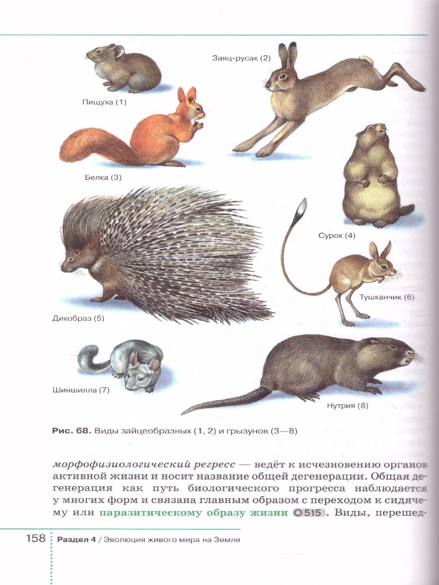 Обложка книги Биология 9 класс. Учебник (концентрический курс), Автор Захаров В.Б. Сивоглазов В.И. Мамонтов С.Г. Агаф, издательство Просвещение | купить в книжном магазине Рослит