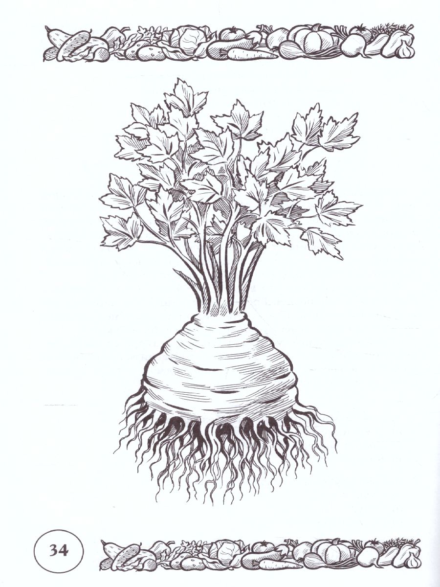 Обложка книги Стихи и речевые упражнения по теме "Овощи". Развитие речи и логического мышления у детей, Автор Кнушевицкая Н.А., издательство ГНОМ | купить в книжном магазине Рослит