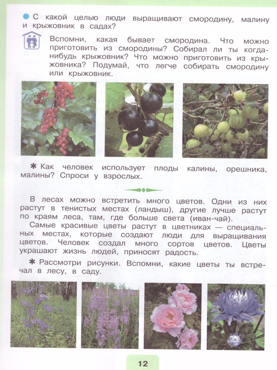 Обложка книги Мир природы и человека 4 класс. Учебник в 2-х частях. Часть 2 (для обучающихся с интеллектуальными нарушениями), Автор Матвеева Н.Б. Ярочкина И.А. Попова М.А., издательство Просвещение | купить в книжном магазине Рослит