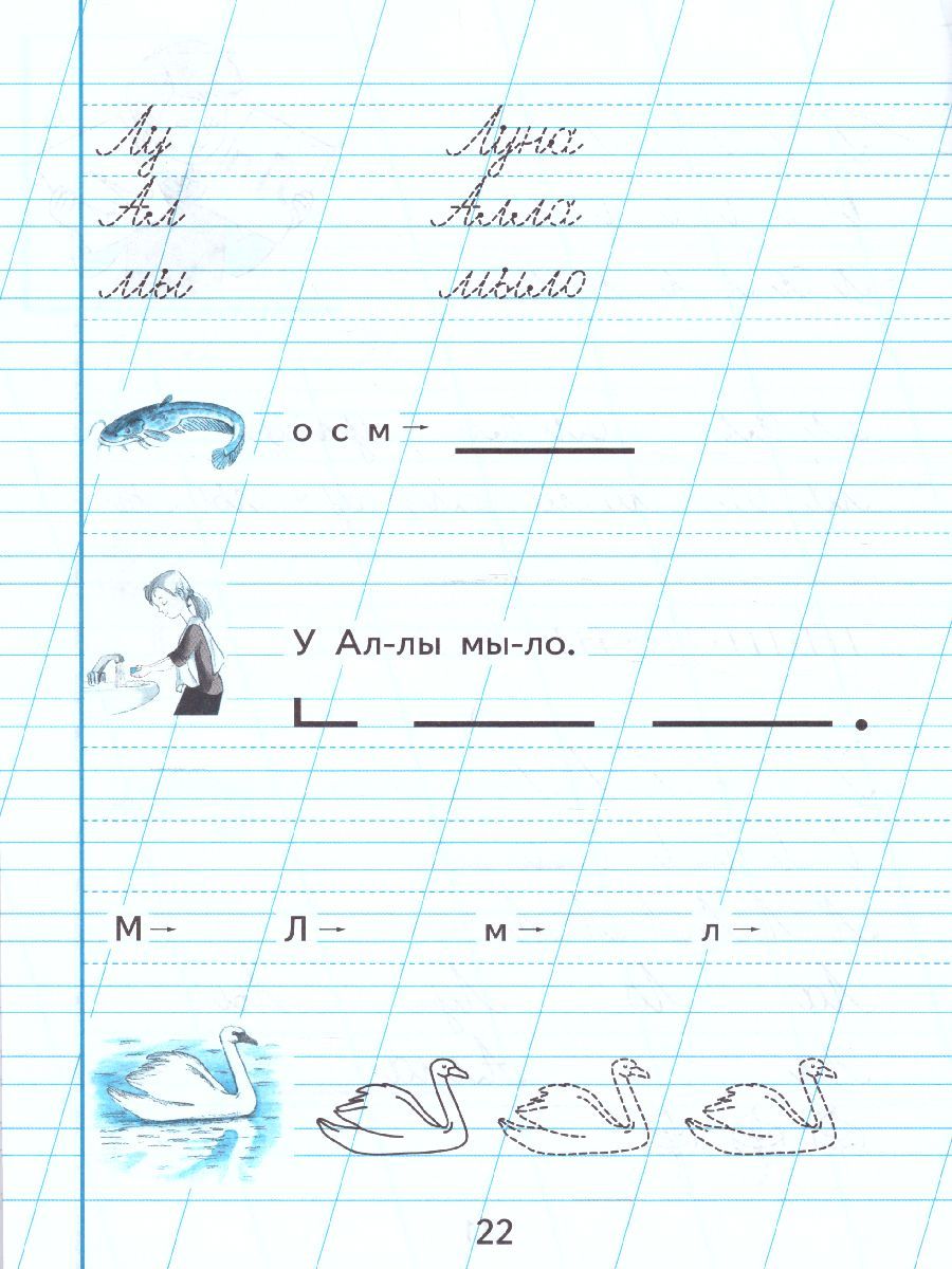 Обложка книги Пропись. Для 1 класса специальных (коррекционных) образовательных учреждений VIII вида. В 3-х частях. Часть 1. Пропись №1, Автор Аксёнова А.К. Комарова С.В. Шишкова М.И., издательство Просвещение | купить в книжном магазине Рослит