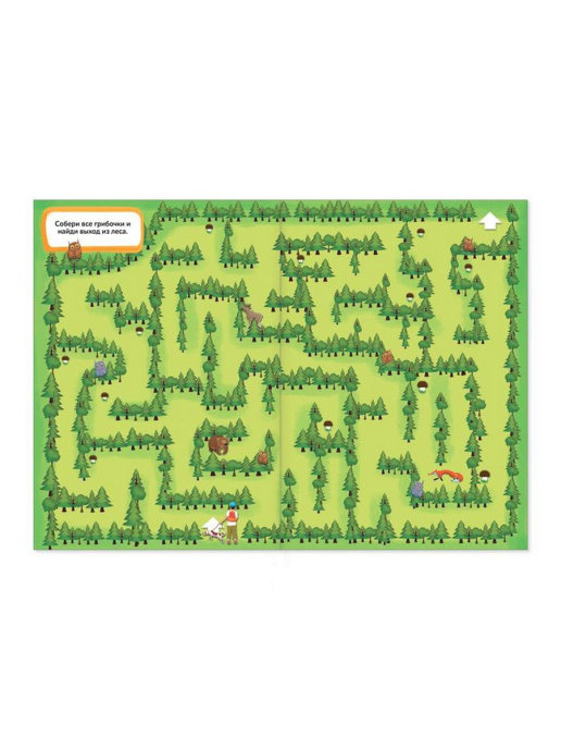 Обложка Книга Суперлабиринты Секретные тропинки формат А4, 16 стр., издательство Буква-Ленд                                         | купить в книжном магазине Рослит