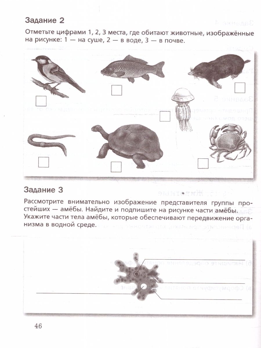 Обложка книги Биология 5 класс (линейный курс). Базовый уровень. Рабочая тетрадь. К новому учебному пособию. ФГОС, Автор Пономарева И. Н.; Корнилова О. А.; Симонова Л. В., издательство Просвещение | купить в книжном магазине Рослит