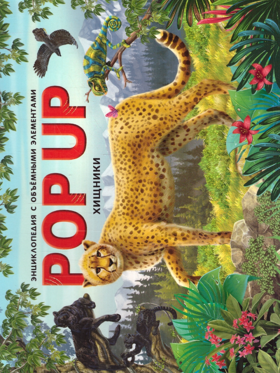 Обложка POP UP энциклопедия. Хищники книжка-панорамка, издательство Маламалама                                         | купить в книжном магазине Рослит