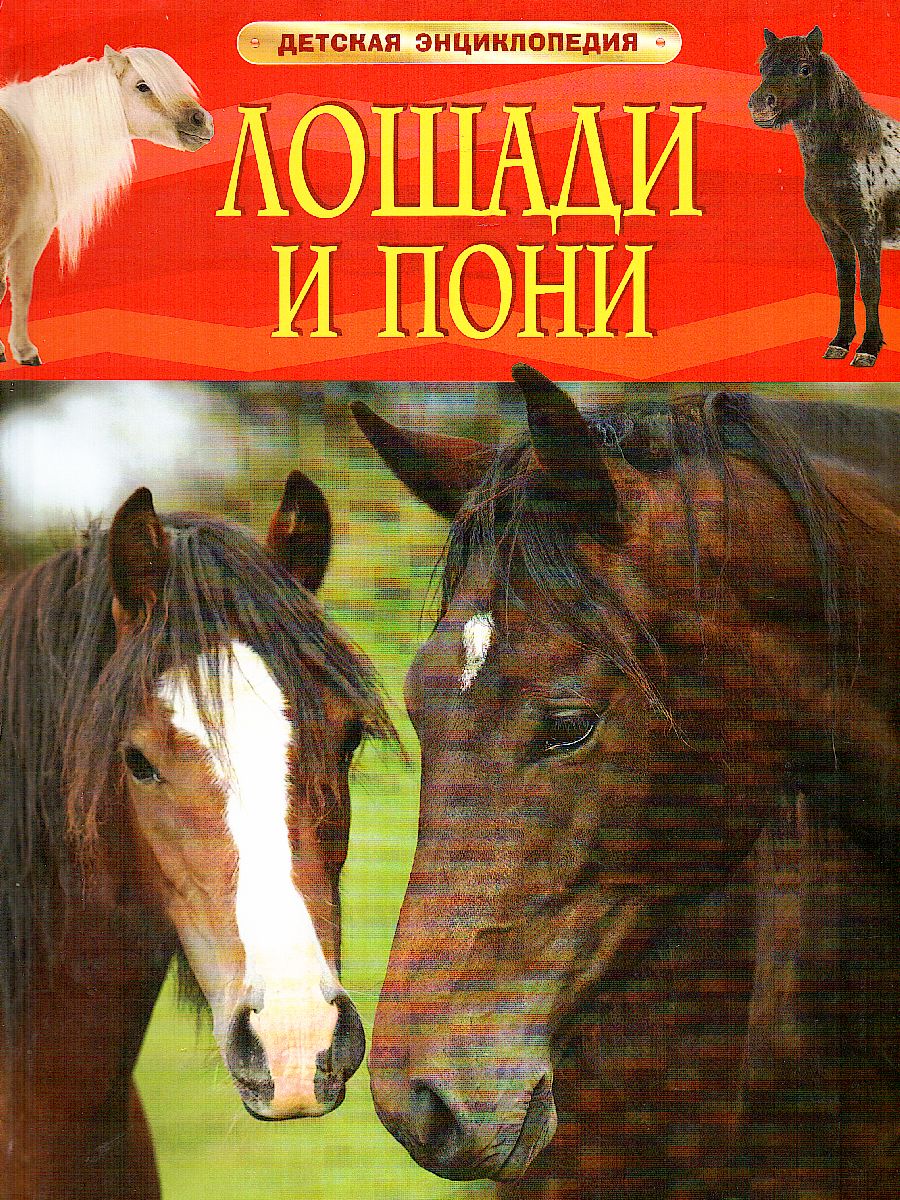 Обложка Лошади и пони, издательство РОСМЭН | купить в книжном магазине Рослит