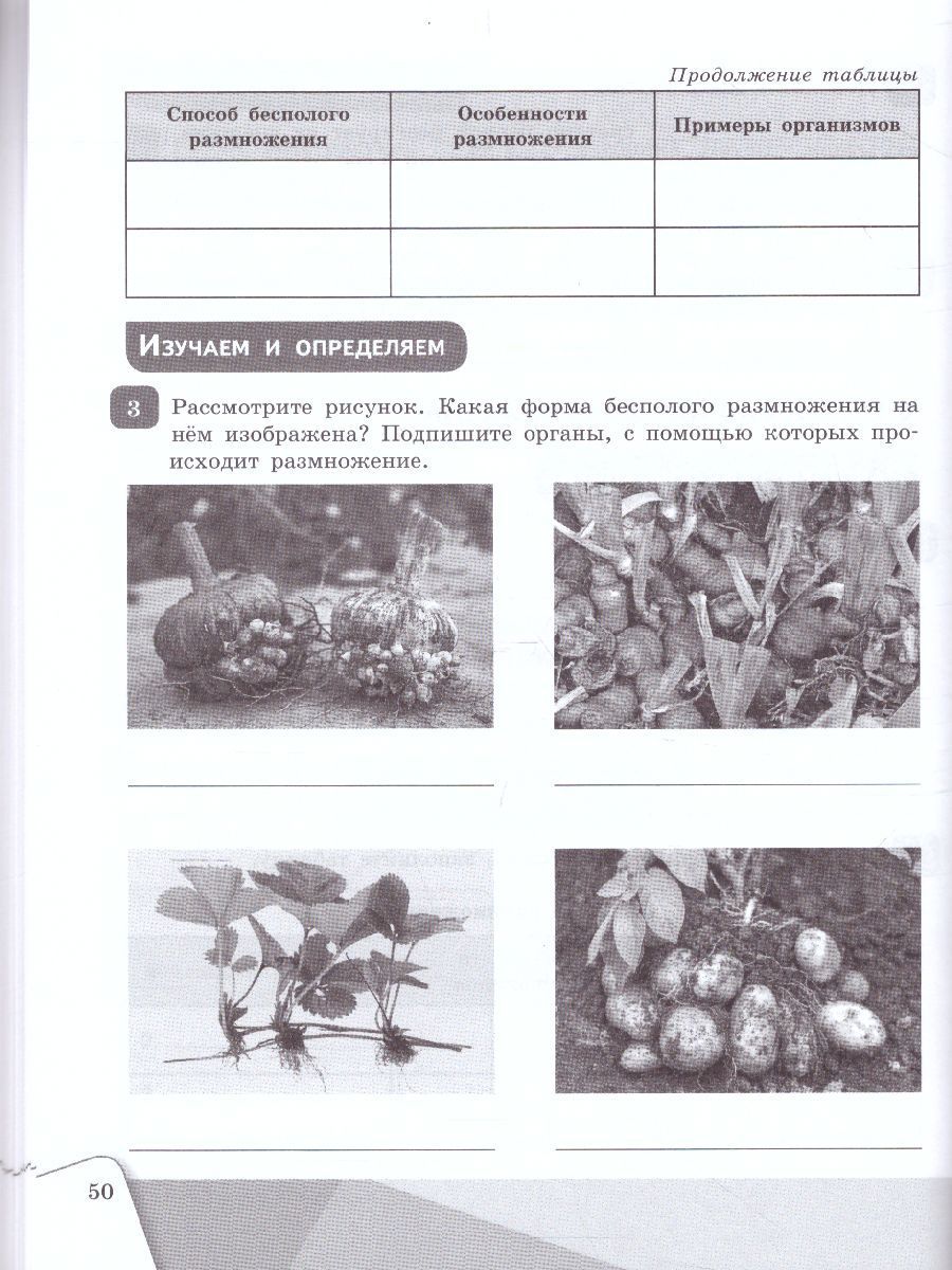Обложка книги Биология. 9 класс. Рабочая тетрадь, Автор Сивоглазов В.И., издательство Просвещение/Союз                                   | купить в книжном магазине Рослит