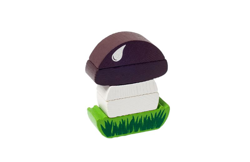 Обложка Пирамидка безосевая Грибок, издательство Томик | купить в книжном магазине Рослит