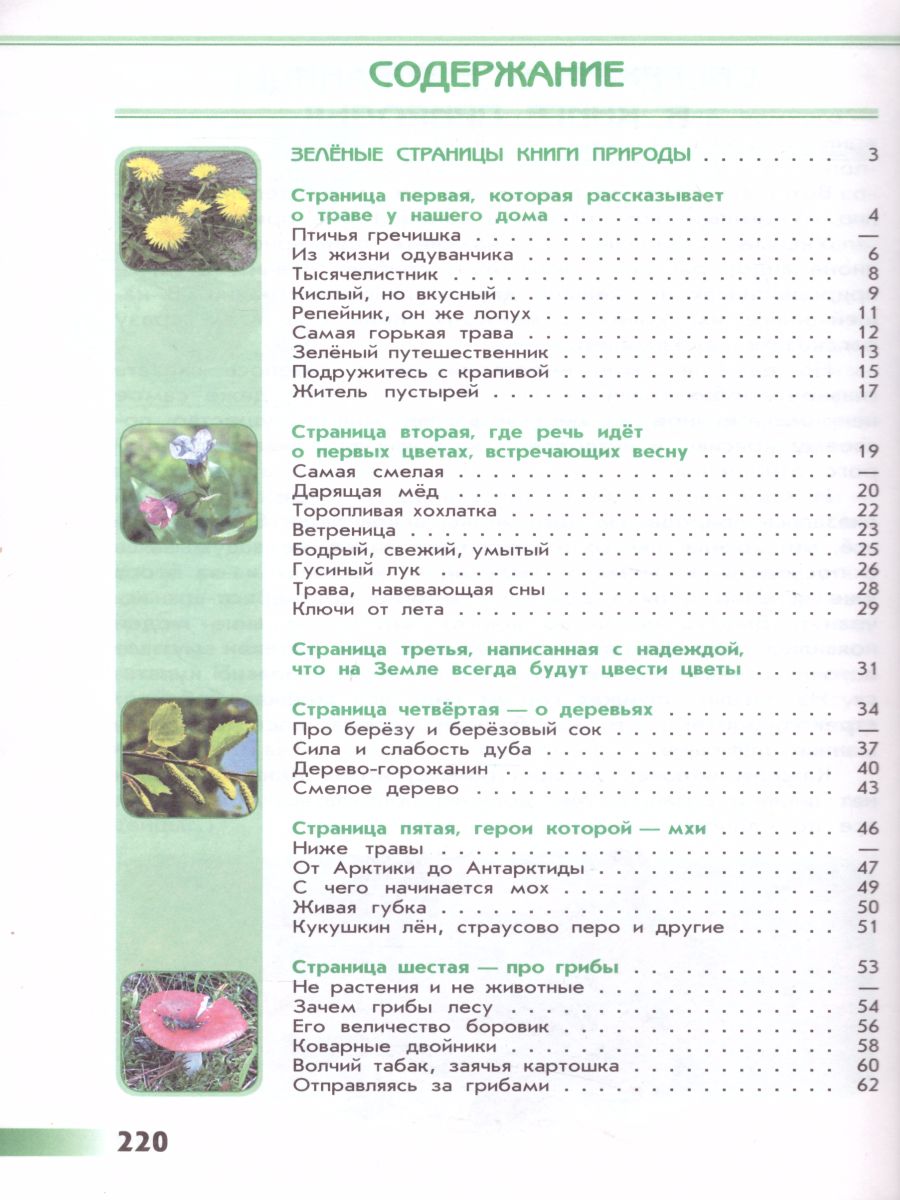 Обложка книги Зеленые страницы. Книга для учащихся начальных классов. ФГОС. УМК "Школа России", Автор Плешаков А.А., издательство Просвещение | купить в книжном магазине Рослит