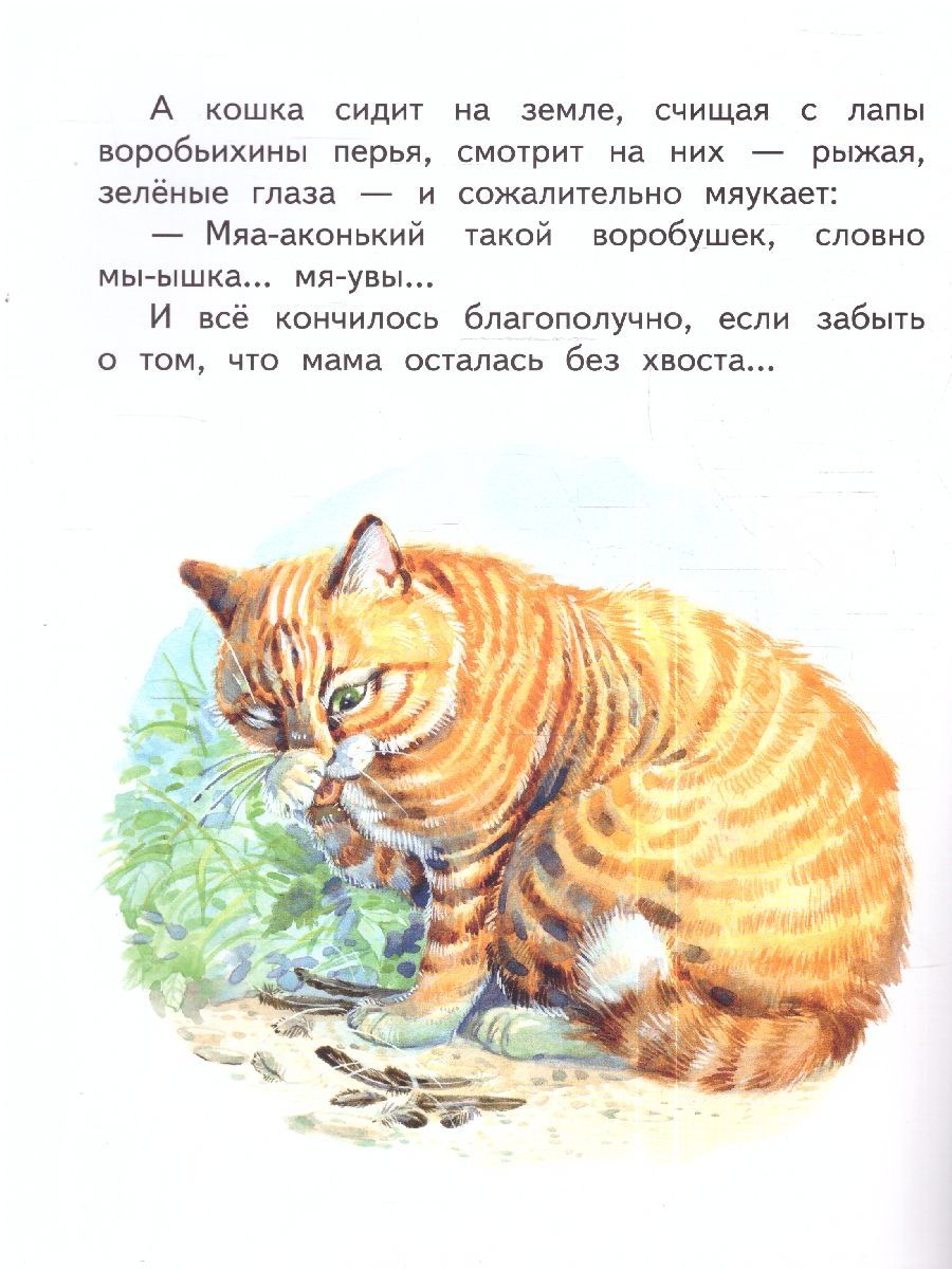 Обложка книги Воробьишко. Сказка, Автор Горький Максим, издательство Мозаичный парк                                     | купить в книжном магазине Рослит