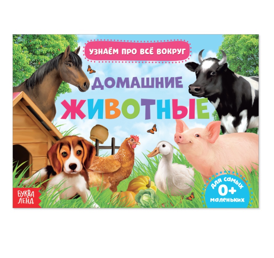 Обложка Обучающая книжка Домашние животные 18 животных, издательство Буква-Ленд                                         | купить в книжном магазине Рослит