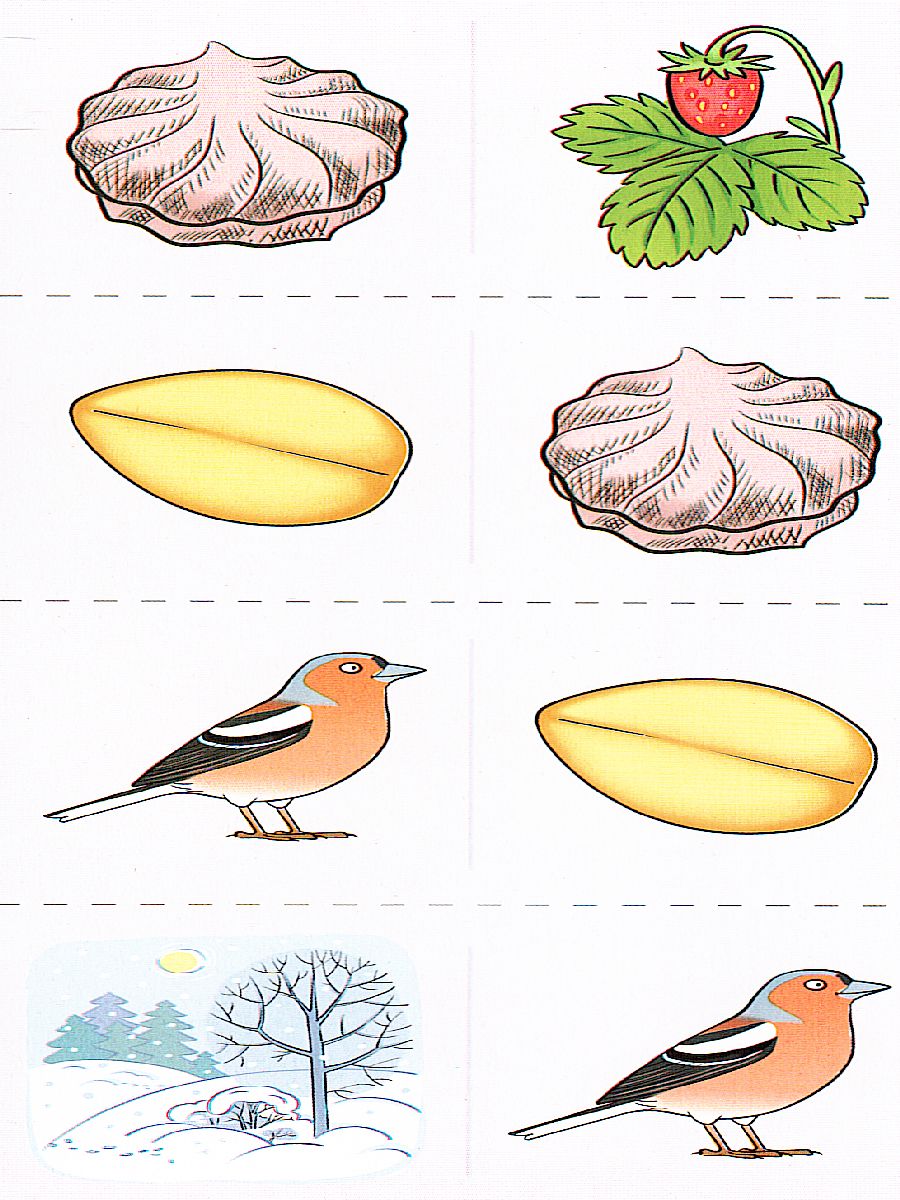 Обложка книги Набор карточек с рисунками Домино логопедическое Звук [З']. Для детей 4-7 лет, Автор , издательство Сфера | купить в книжном магазине Рослит