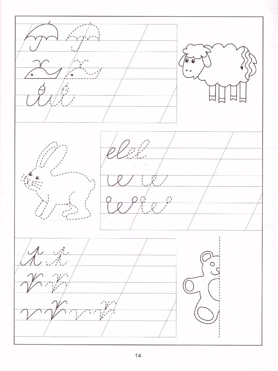 Обложка книги Раскраска-пропись. Задания на развитие начальных графических навыков. Тетрадь для детей 4-5 лет, Автор , издательство Солнечные ступеньки | купить в книжном магазине Рослит