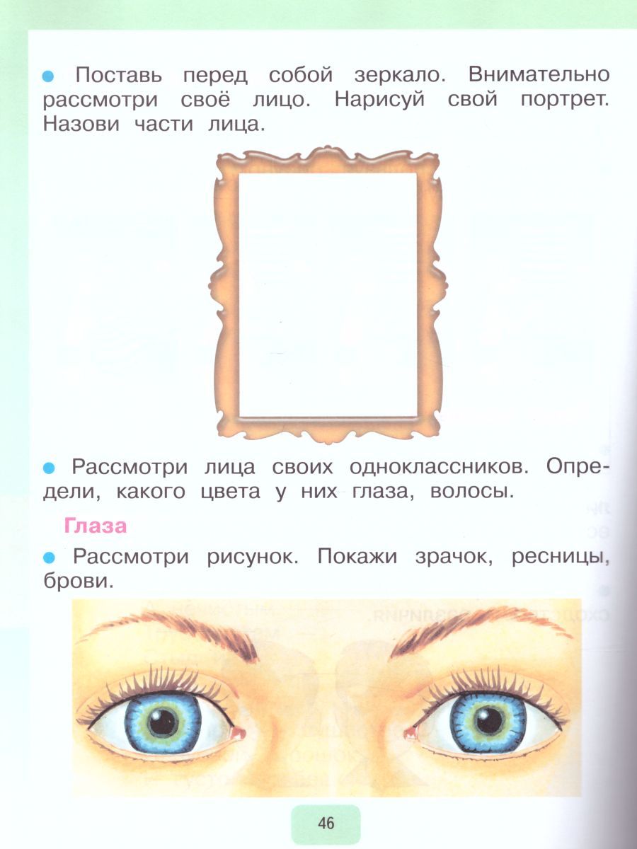 Обложка книги Мир природы и человека 1 класс. Рабочая тетрадь (для обучающихся с интеллектуальными нарушениями), Автор Матвеева Н.Б. Попова М.А., издательство Просвещение | купить в книжном магазине Рослит