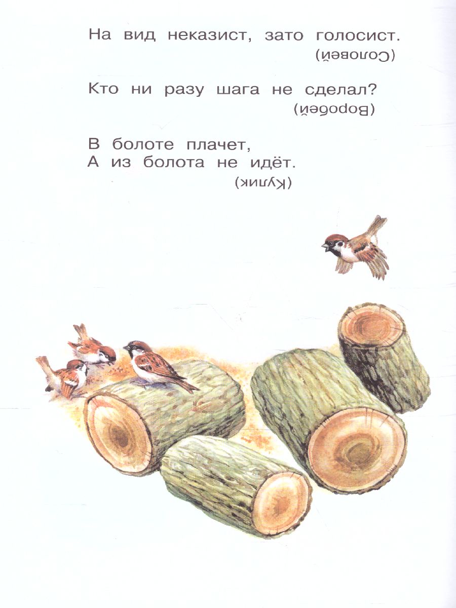 Обложка книги Русские народные загадки, Автор Нечаев А.Н., издательство АСТ | купить в книжном магазине Рослит