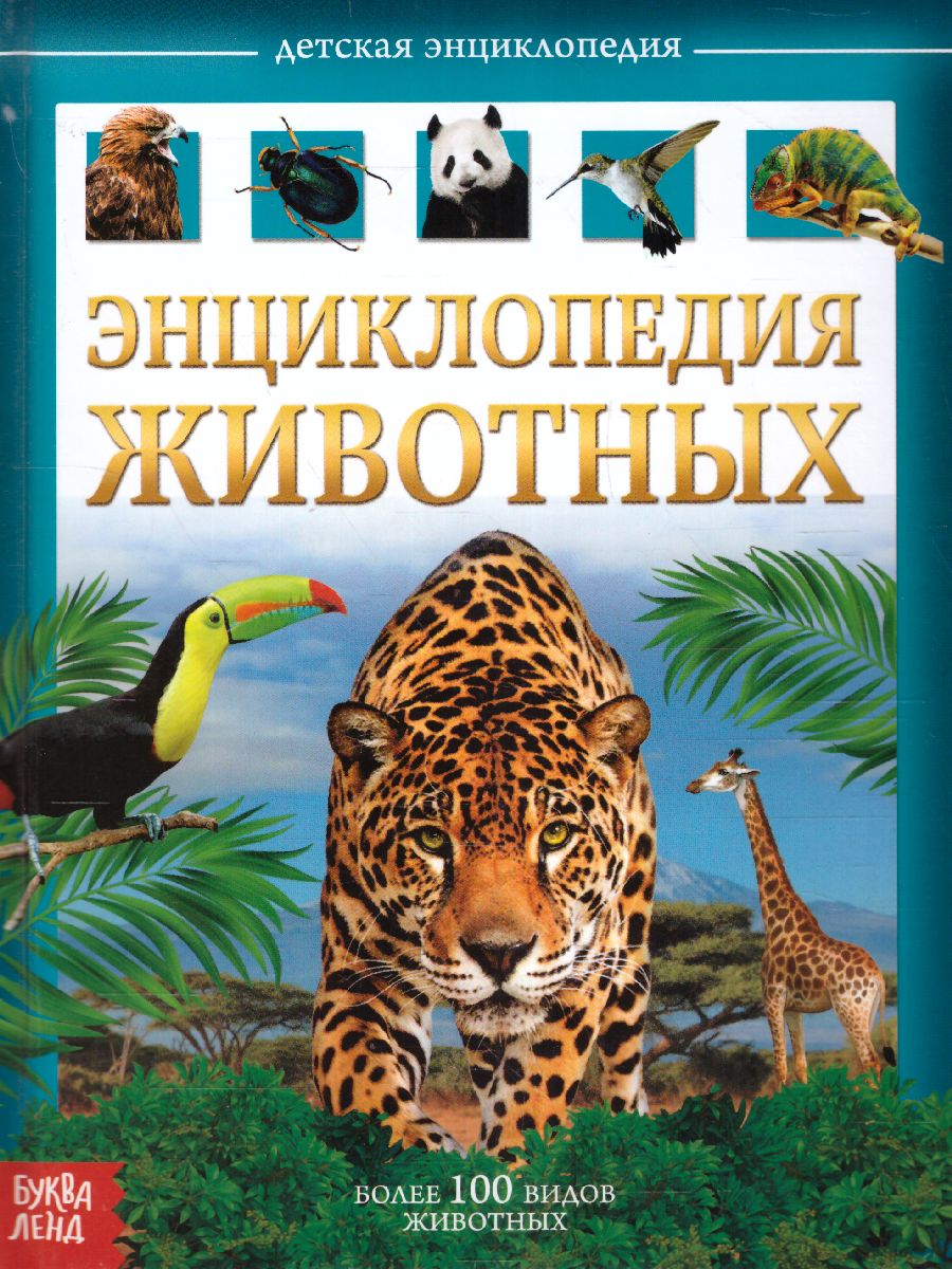 Обложка Детская энциклопедия "Животные", издательство Буква-Ленд                                         | купить в книжном магазине Рослит