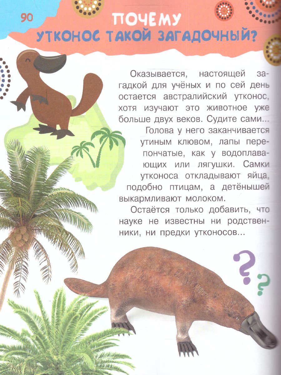 Обложка Почему и отчего. Самые интересные детские вопросы /100 тысяч почему, издательство АСТ | купить в книжном магазине Рослит