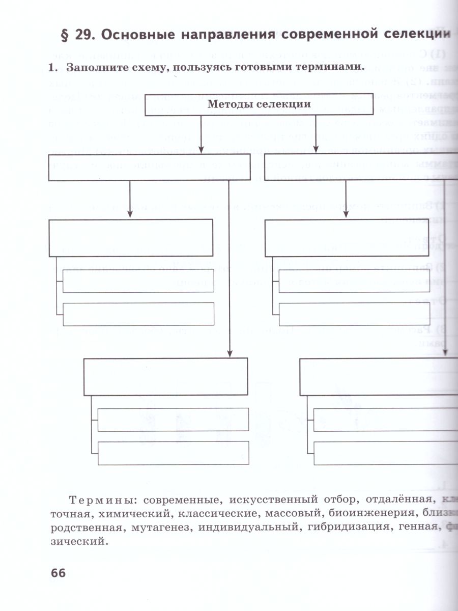 Обложка книги Биология 9 класс. Рабочая тетрадь. Линия Ракурс. ФГОС, Автор Новикова С.Н. Данилов С.Б., издательство Русское слово | купить в книжном магазине Рослит