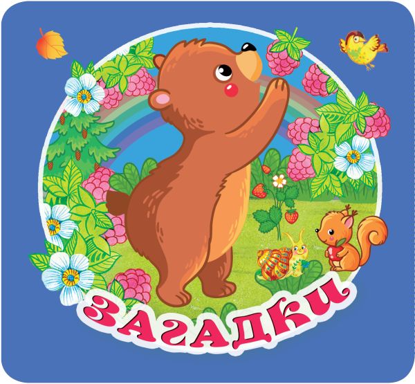 Обложка Книжка-раскладушка Загадки, издательство АСТ | купить в книжном магазине Рослит