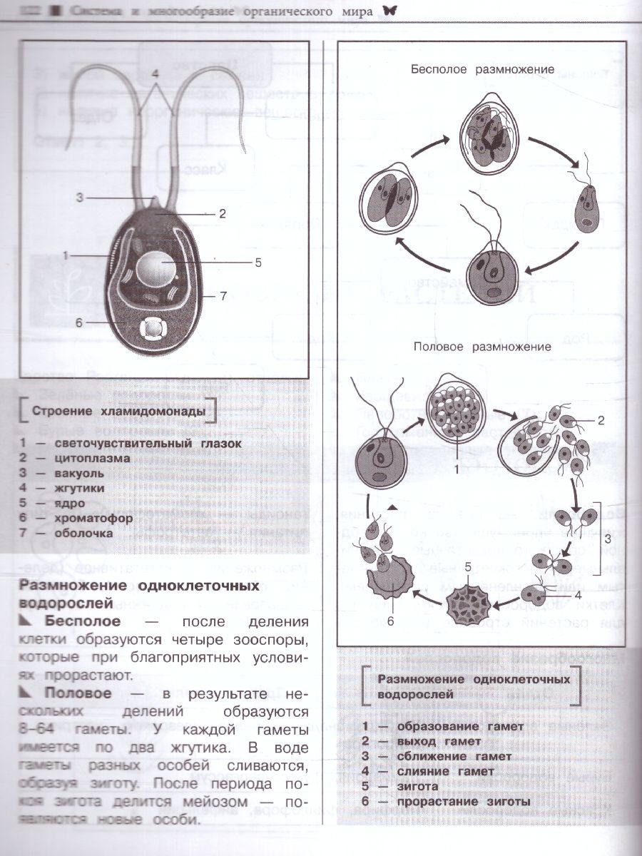 Обложка книги Биология. Наглядный справочник для подготовки к ОГЭ и ЕГЭ, Автор Никитинская Т.В., издательство ЭКСМО | купить в книжном магазине Рослит