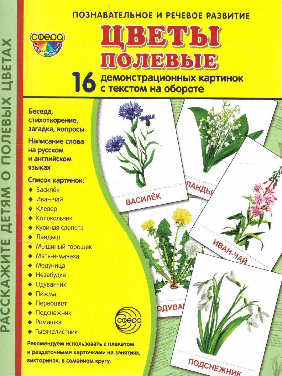 Обложка книги Демонстрационные картинки СУПЕР. Цветы полевые. 16 демонстрационных картинок с текстом 173х220 мм, Автор Цветкова Т.В., издательство Сфера | купить в книжном магазине Рослит