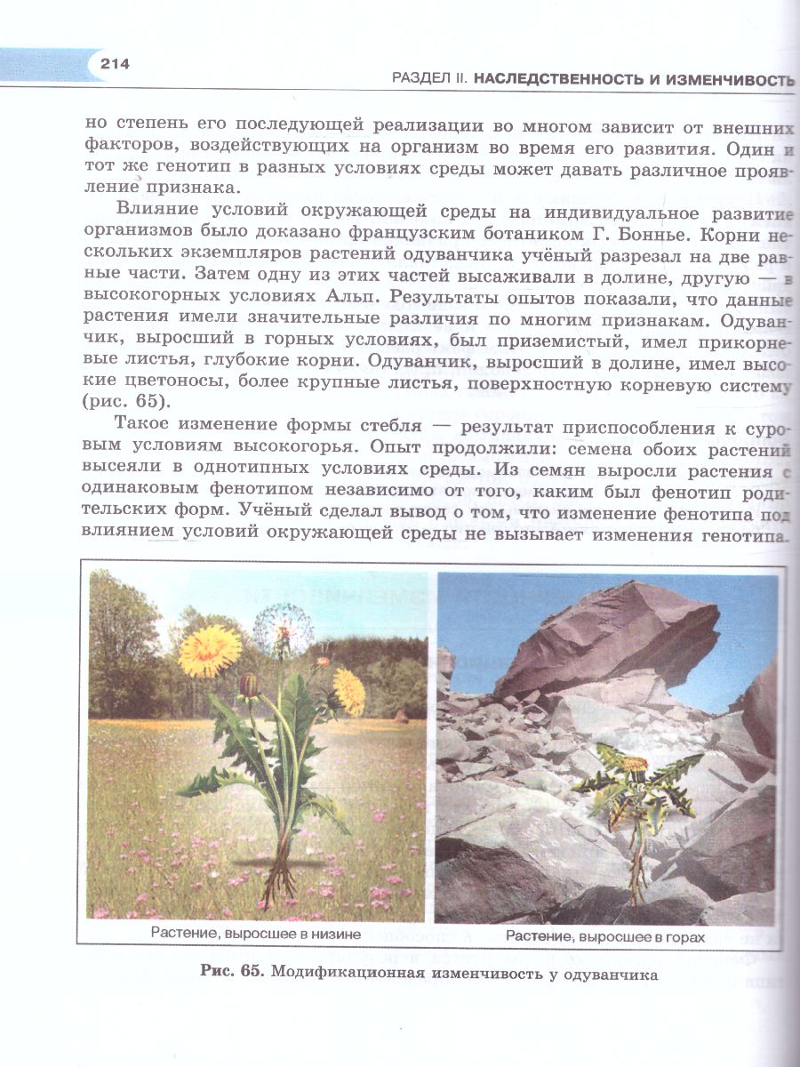 Обложка книги Биология 10-11 класс. Базовый уровень. Учебник, Автор Андреева Н.Д., издательство Мнемозина | купить в книжном магазине Рослит