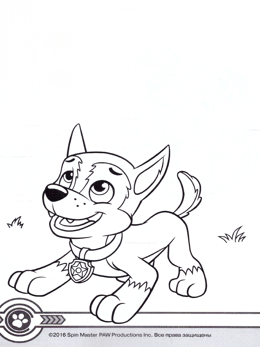 Обложка Щенячий патруль. Картинки-невидимки (красная) (Росмэн), издательство РОСМЭН | купить в книжном магазине Рослит