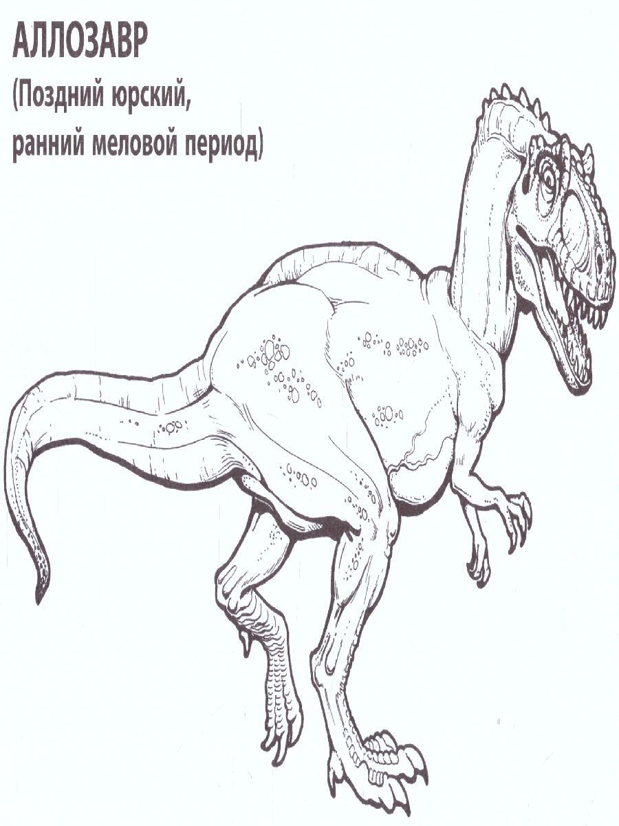 Обложка книги Динозавры/Любимая раскраска мальчиков А5, Автор , издательство Интерпрессервис | купить в книжном магазине Рослит