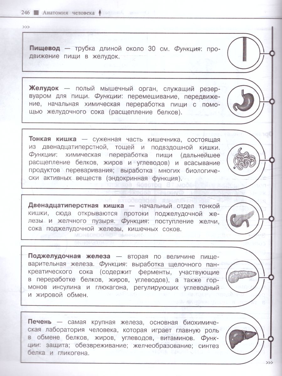 Обложка книги Биология. Наглядный справочник для подготовки к ОГЭ и ЕГЭ, Автор Никитинская Т.В., издательство ЭКСМО | купить в книжном магазине Рослит
