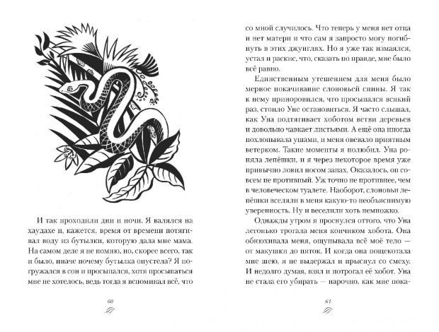 Обложка Мальчик из джунглей / Детский бестселлер Майкла Морпурго*, издательство Махаон | купить в книжном магазине Рослит