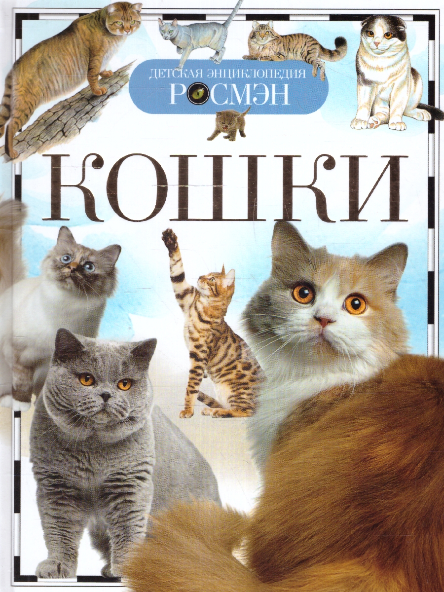 Обложка Кошки, издательство РОСМЭН | купить в книжном магазине Рослит