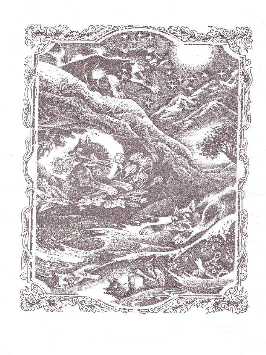 Обложка Сборник. Цикл "Нерассказанные истории". Месть Кленовницы /Коты-воители, издательство Просвещение/Союз                                   | купить в книжном магазине Рослит