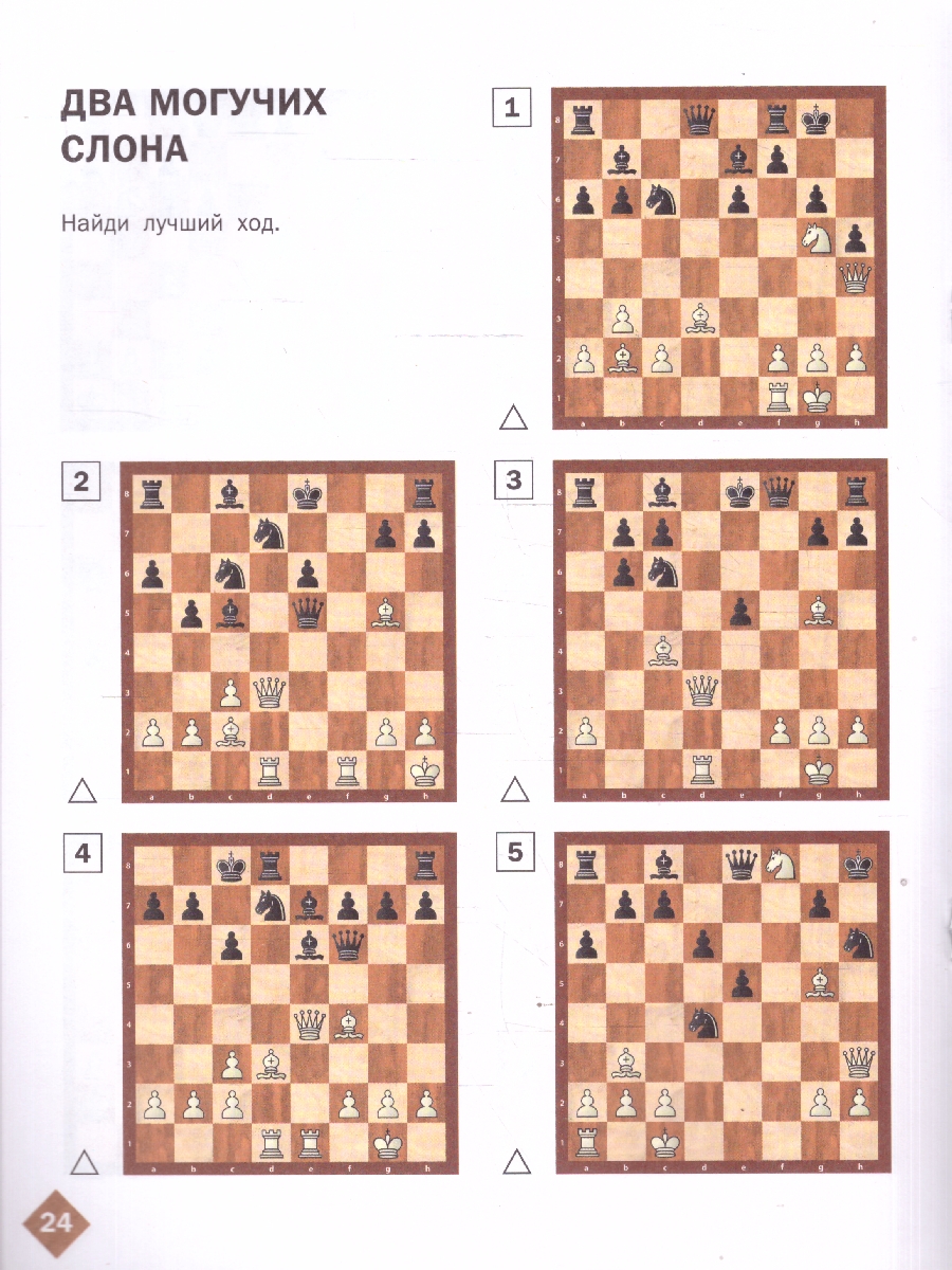 Обложка книги Шахматная школа Второй год обучения Рабочая тетрадь, Автор Барский В.Л., издательство Вако | купить в книжном магазине Рослит