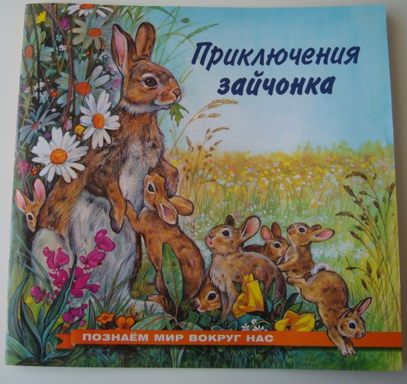 Обложка Познаем мир вокруг нас / Приключения зайчонка, издательство Фламинго | купить в книжном магазине Рослит