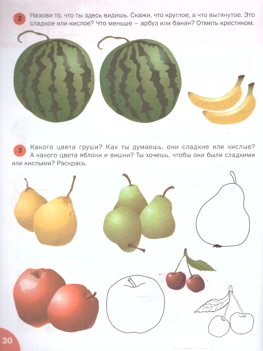 Обложка книги Окружающий мир 4-5 лет Живая природа Умный мышонок, Автор Цветков А.В. Шатохина К.Ю., издательство Вако | купить в книжном магазине Рослит