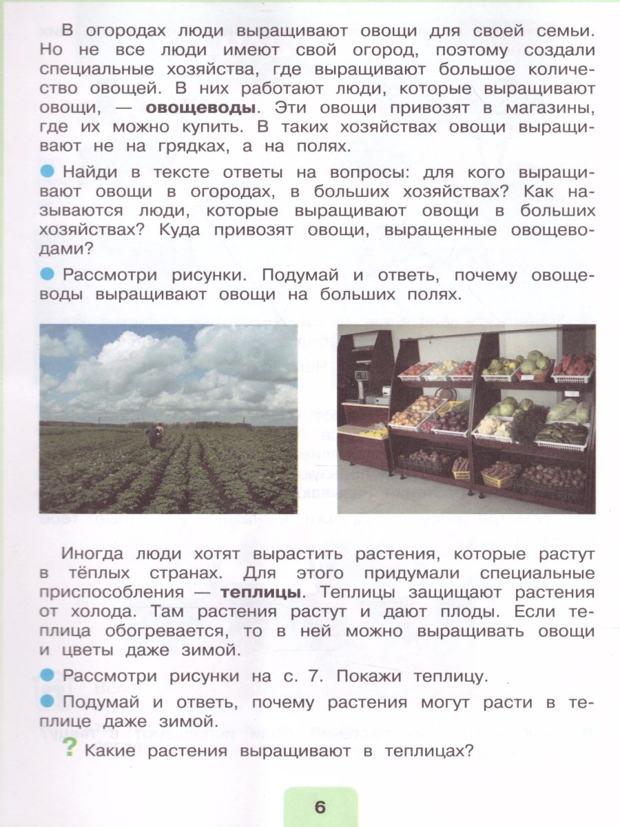 Обложка книги Мир природы и человека 4 класс. Учебник в 2-х частях. Часть 2 (для обучающихся с интеллектуальными нарушениями), Автор Матвеева Н.Б. Ярочкина И.А. Попова М.А., издательство Просвещение | купить в книжном магазине Рослит