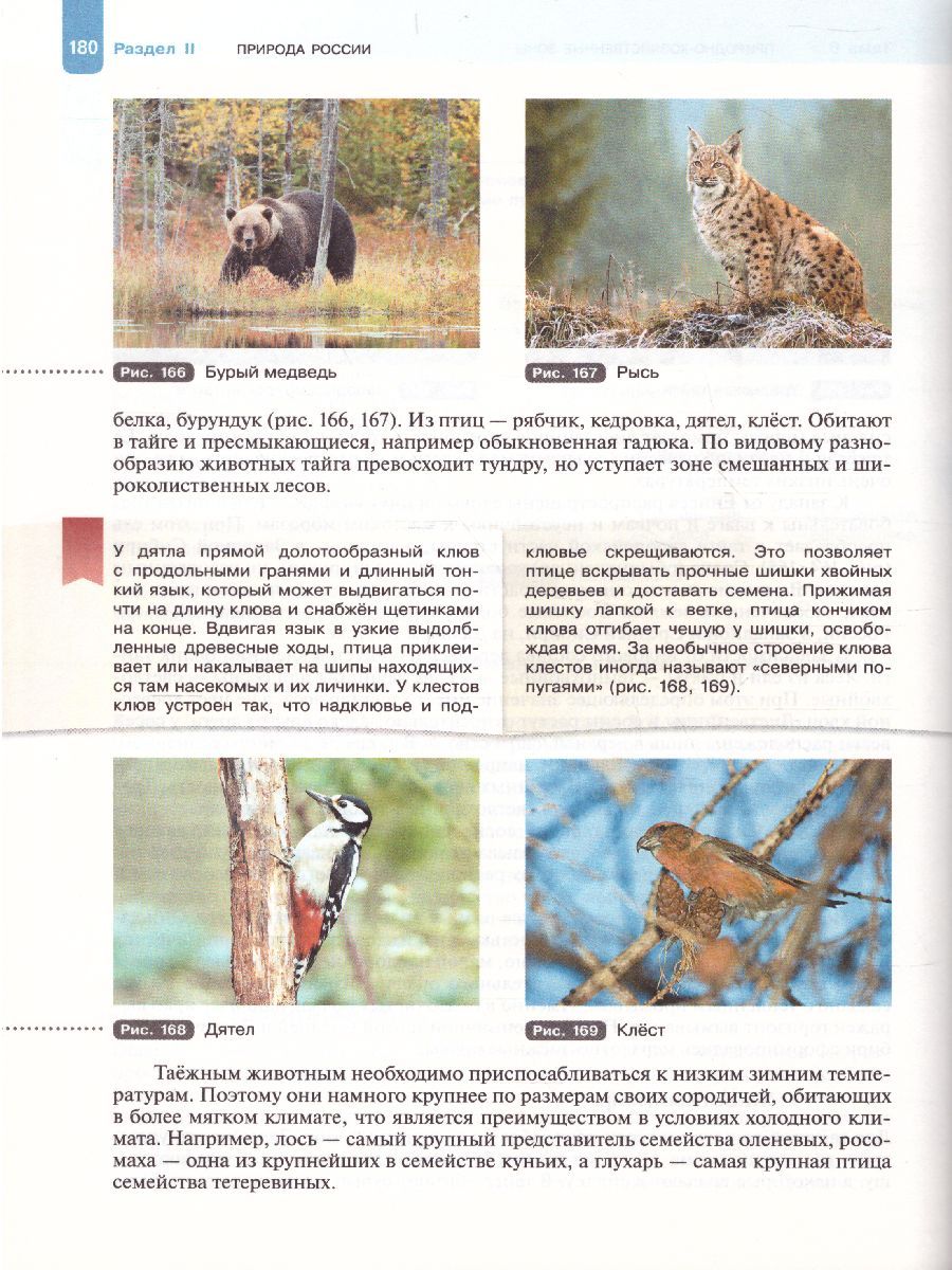 Обложка книги География 8 класс. Природа, население. Учебник, Автор Пятунин В.Б. Таможняя Е.А., издательство Просвещение/Союз                                   | купить в книжном магазине Рослит