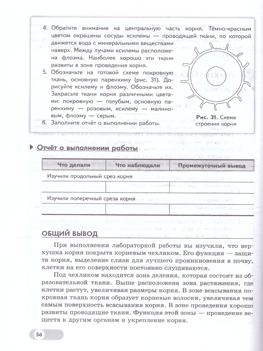 Обложка книги Биология 5-6 классы. Базовый уровень. Лабораторный практикум (с цифровым дополнением). ФГОС, Автор Ефимова Т.М. Ежова Н.И. Швецов Г.Г, издательство Просвещение | купить в книжном магазине Рослит