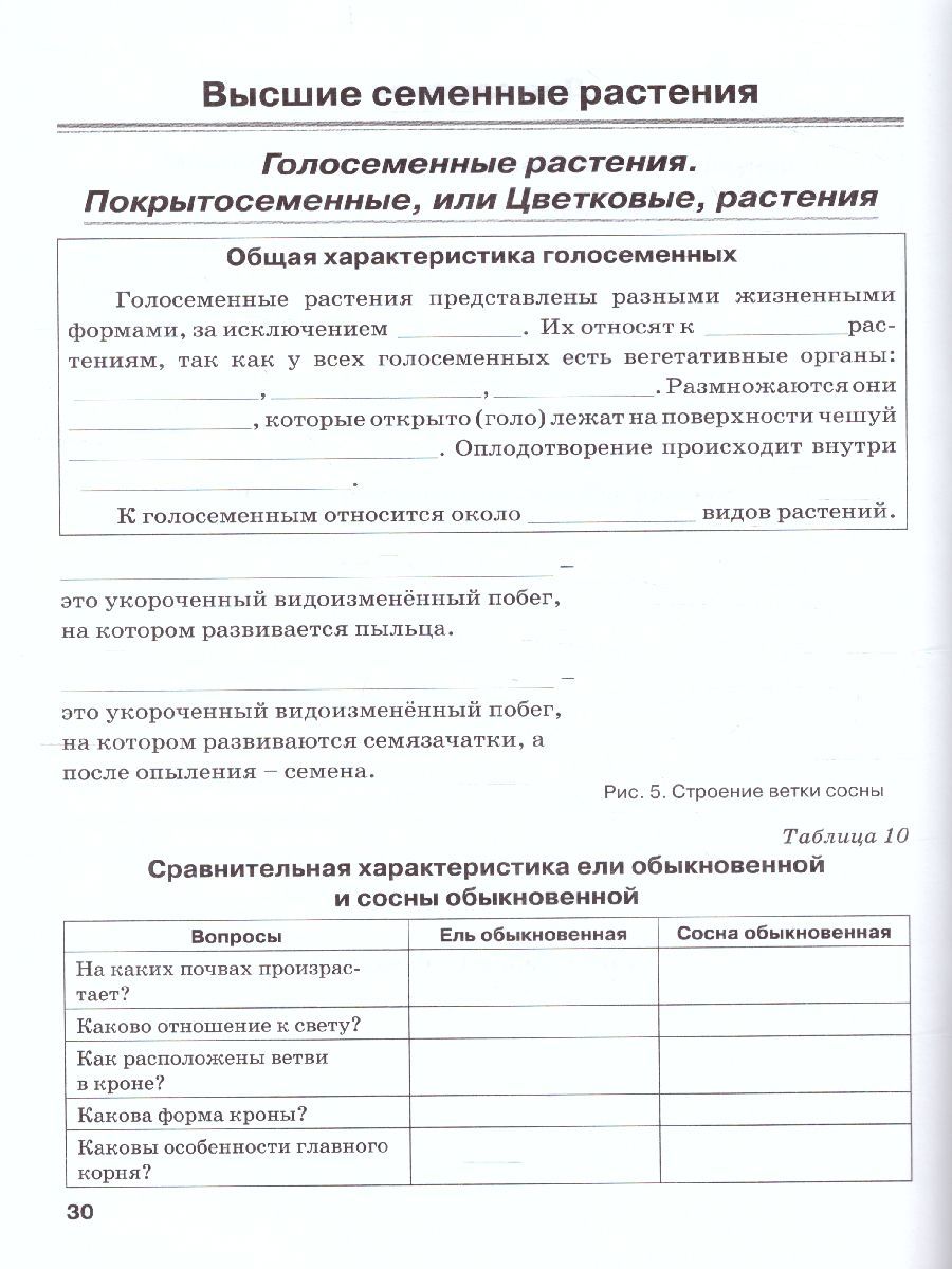 Обложка книги Биология 6 класс. Рабочая тетрадь. Растения. Бактерии. Грибы. Лишайники. К учебнику Трайтака, Автор , издательство ТЦУ | купить в книжном магазине Рослит