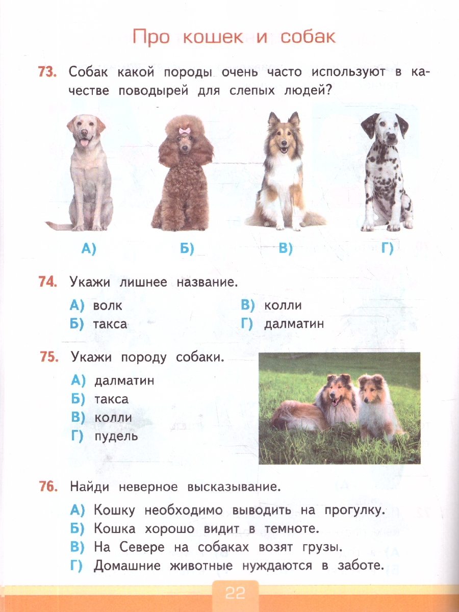Обложка книги Окружающий мир 2 класс. Тесты. К учебнику А. А. Плешакова. ФГОС Новый, Автор Тихомирова Е. М., издательство Экзамен | купить в книжном магазине Рослит