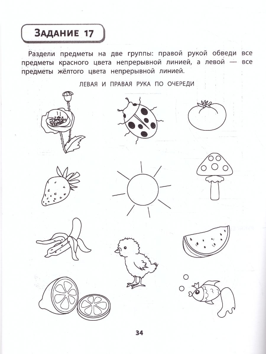 Обложка книги Правая,левая,вместе! Межполушарное взаимодействие, Автор Гусева Е. О., издательство Феникс ТД                                          | купить в книжном магазине Рослит