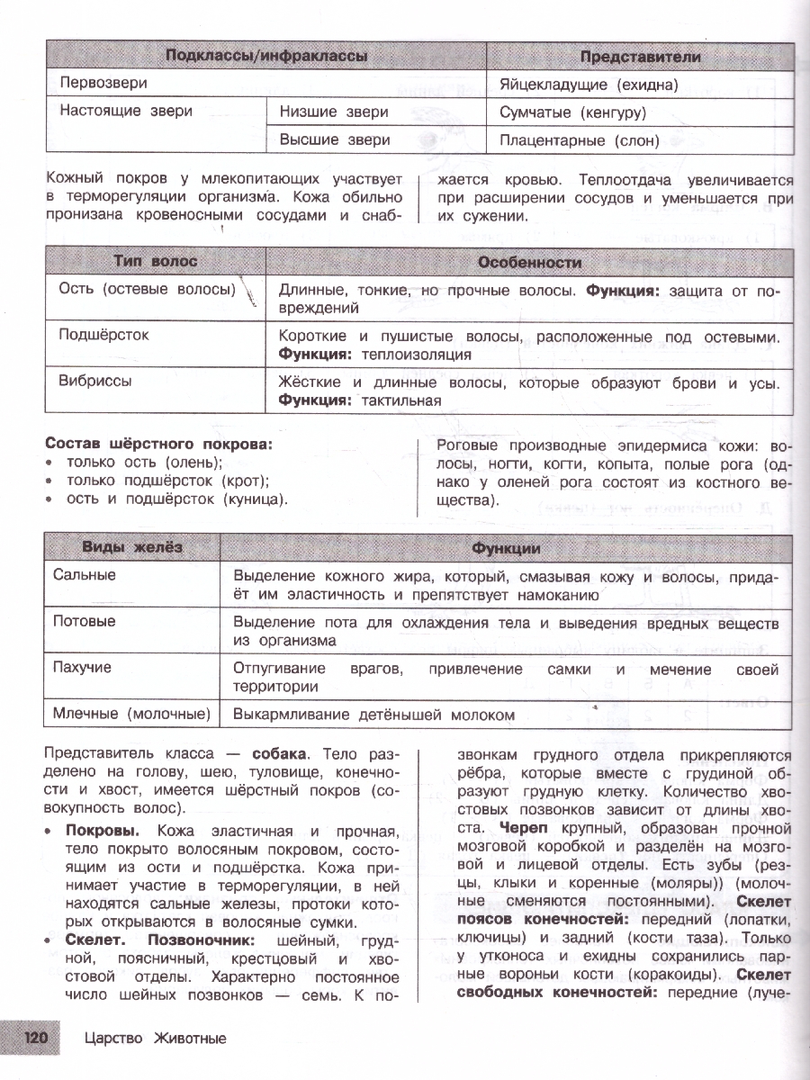 Обложка книги Биология 5-9 классы. Подготовка к ОГЭ и ВПР. Справочник с теорией, заданиями и ответами, Автор Лаптева О.В.; Мазур О.Ч., издательство ЭКСМО | купить в книжном магазине Рослит