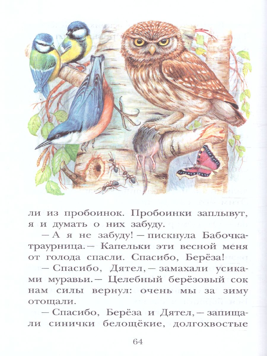 Обложка книги Сладков Н.И. Лесные сказки /Детское чтение, Автор Сладков Н.И., издательство АСТ | купить в книжном магазине Рослит