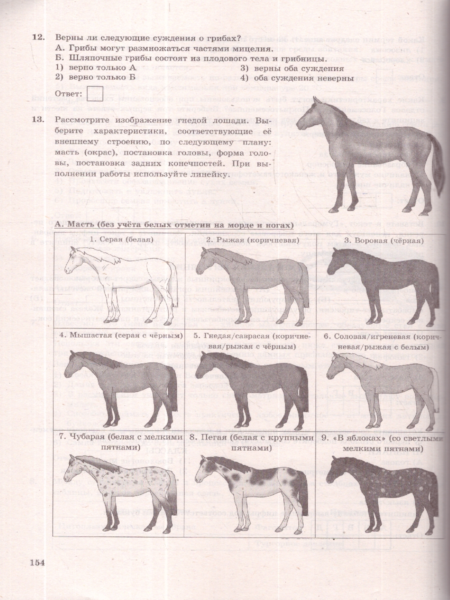 Обложка книги ОГЭ 2026 Биология. Типовые варианты экзаменационных заданий. 30 вариантов. ФИПИ, Автор Мазяркина Т. В.; Первак С. В., издательство Экзамен | купить в книжном магазине Рослит