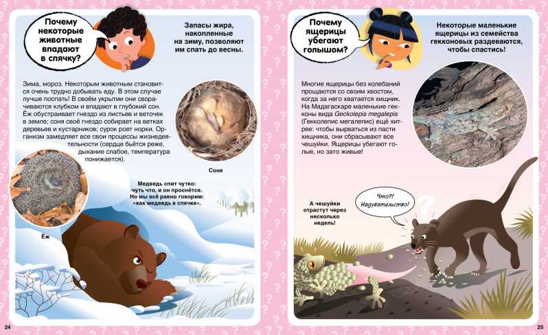 Обложка Почему? 100 вопросов и ответов в картинках, издательство Махаон | купить в книжном магазине Рослит