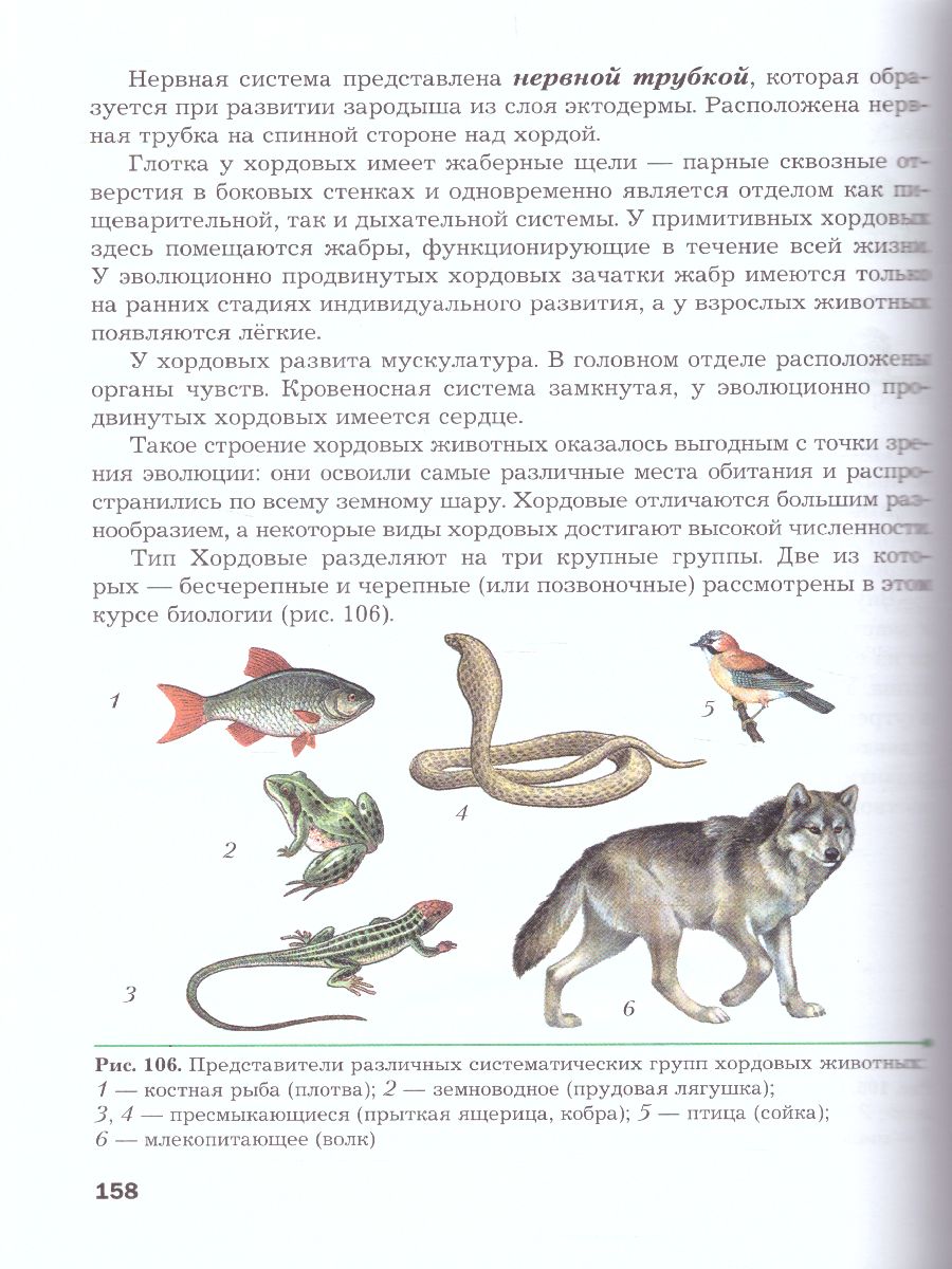 Обложка книги Биология 8 класс. Учебник. ФГОС, Автор Константинов В.М. Бабенко В.Г. Кучменко В.С., издательство Просвещение | купить в книжном магазине Рослит
