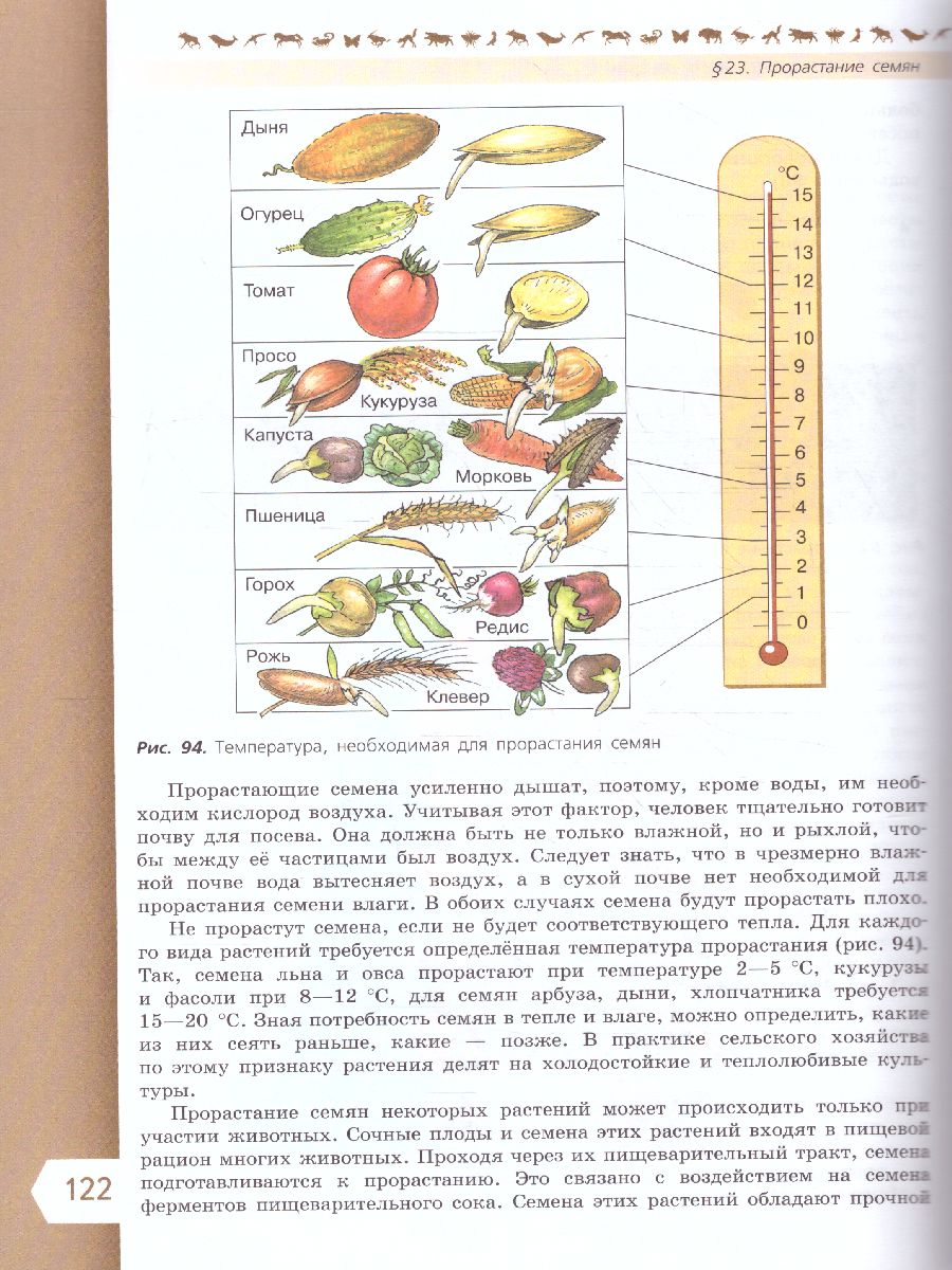 Обложка книги Биология 6 класс. Базовый уровень. Учебник. УМК "Линия жизни" (ФП2022), Автор Пасечник В.В. Суматохин С.В. Гапонюк З.Г., издательство Просвещение | купить в книжном магазине Рослит