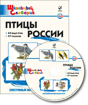 Обложка книги Птицы России (+голоса птиц) СD, Автор , издательство Вако | купить в книжном магазине Рослит